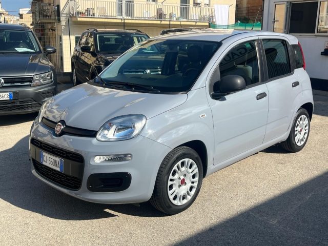 FIAT Panda usata, con Airbag testa