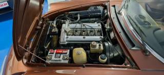 ALFA ROMEO Spider usata 9