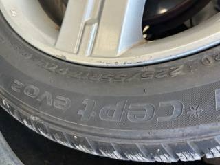 SUBARU Forester usata, con Cronologia tagliandi