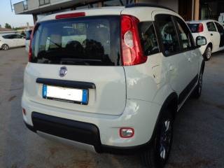FIAT Panda usata, con Airbag Passeggero