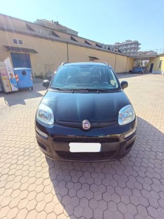 FIAT Panda usata 2