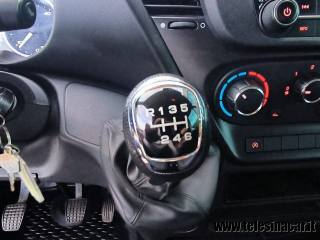 IVECO  usata 14