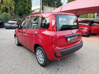 FIAT Panda usata, con Antifurto