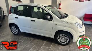 FIAT Panda usata, con Alzacristalli elettrici