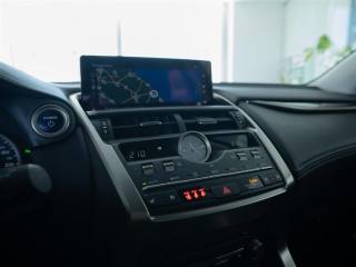 LEXUS NX 200t usata, con Volante in pelle