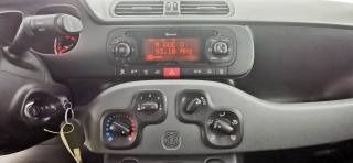 FIAT Panda usata, con Fendinebbia