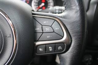 JEEP Renegade usata 16