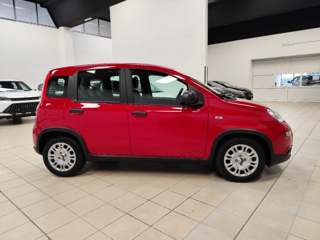 FIAT Panda usata, con Antifurto