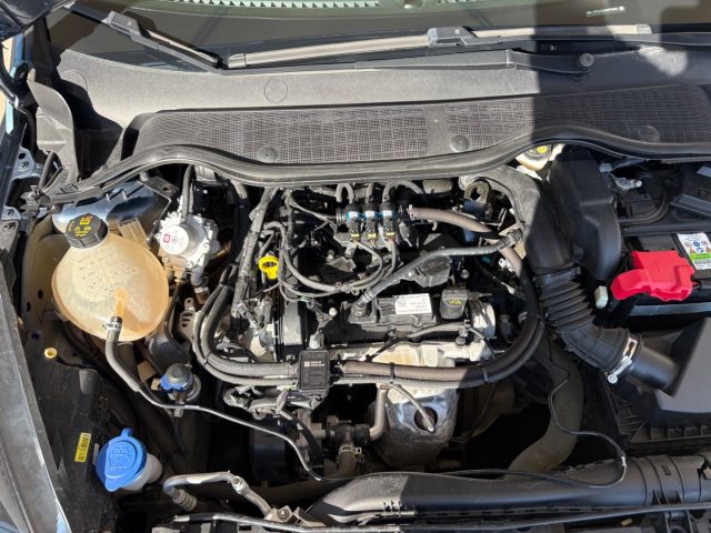 FORD Fiesta usata 49
