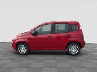 FIAT Panda usata 1