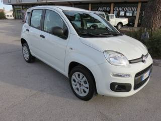 FIAT Panda usata, con Airbag