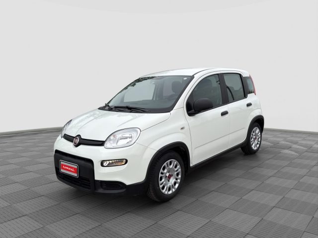FIAT Panda usata 0