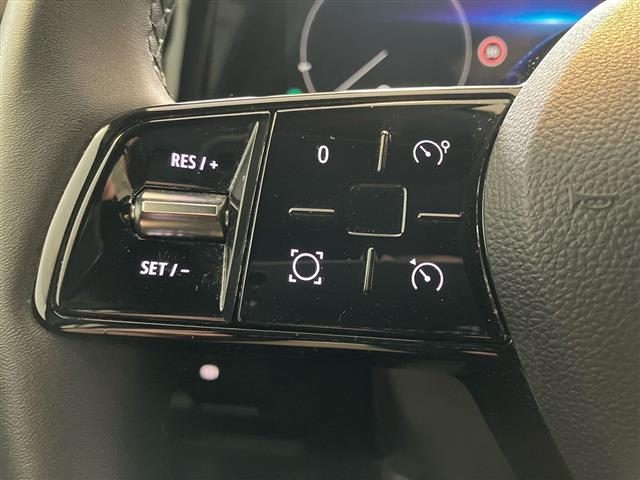 RENAULT Austral usata 22