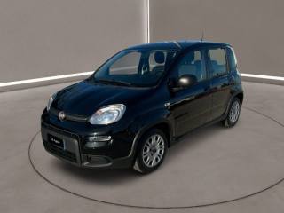 FIAT Panda usata, con Airbag Passeggero