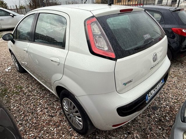 FIAT Punto Evo usata, con Airbag laterali