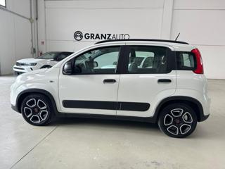 FIAT Panda usata 14