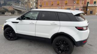 LAND ROVER Range Rover Evoque usata, con Airbag