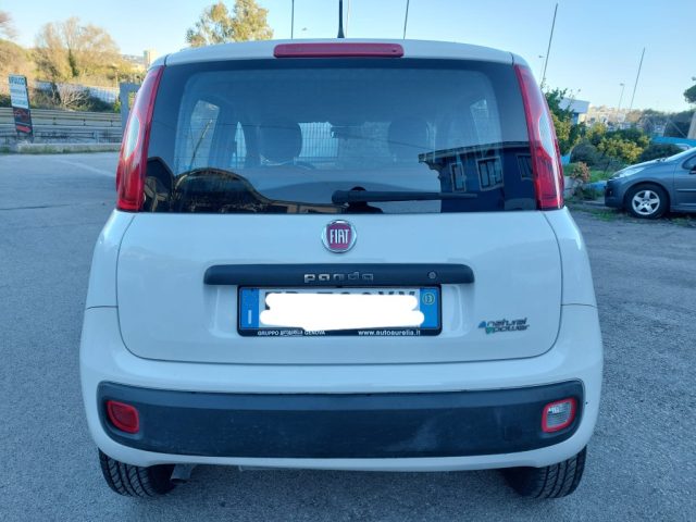 FIAT Panda usata 7