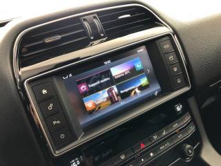 JAGUAR F-Pace usata, con Fari Xenon