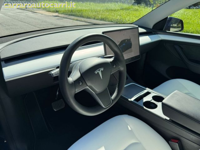 TESLA Model Y usata, con Fendinebbia