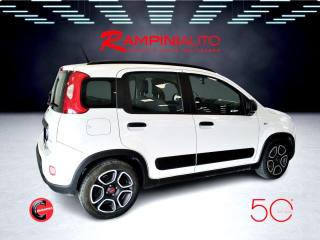 FIAT Panda usata 5