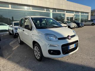 FIAT Panda usata, con Airbag Passeggero