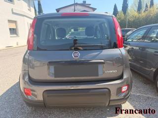 FIAT Panda usata, con Alzacristalli elettrici