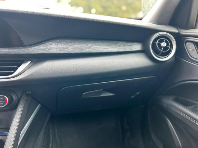 ALFA ROMEO Stelvio usata 28