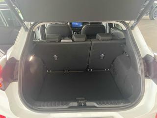 FORD Puma usata, con Cruise Control