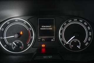 SKODA Fabia usata 12