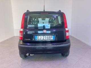 FIAT Panda usata 8
