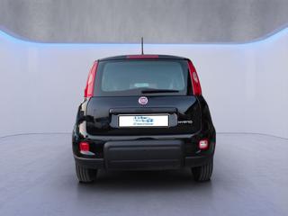 FIAT Panda usata, con Antifurto