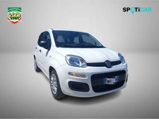 FIAT Pandina usata, con Airbag laterali