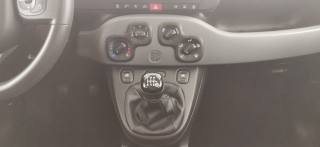FIAT Panda usata, con Servosterzo