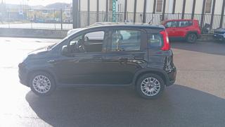 FIAT Panda usata 18