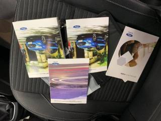 FORD EcoSport usata, con Volante multifunzione