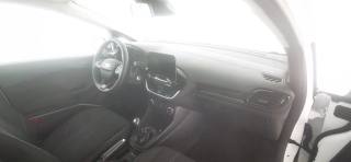 FORD Fiesta usata 52