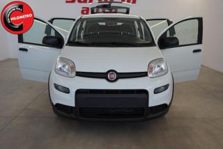 FIAT Panda usata, con Airbag Passeggero