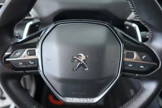 PEUGEOT 3008 usata 48