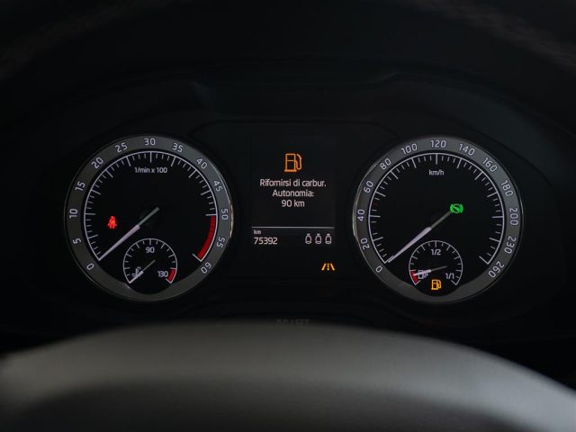 SKODA Kodiaq usata 16