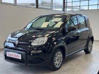 FIAT Panda 1.0 FireFly S&S Hybrid *UNICO PROP.*OK NEOPAT.*