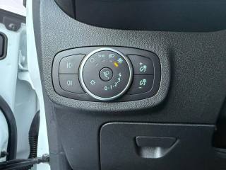 FORD Fiesta usata 20