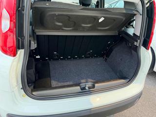 FIAT Panda usata 11