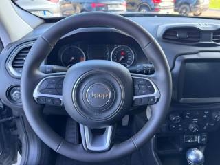 JEEP Renegade usata, con Climatizzatore