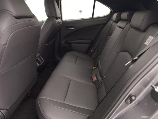 LEXUS UX 250h usata, con Bracciolo