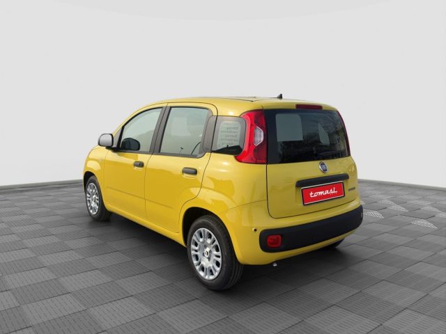 FIAT Panda usata 2