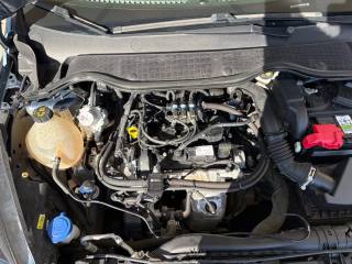 FORD Fiesta usata 49