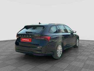 SKODA Octavia usata 4