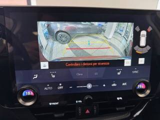 LEXUS NX 300h usata, con Cronologia tagliandi