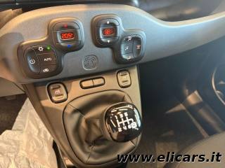 FIAT Panda usata, con Immobilizzatore elettronico